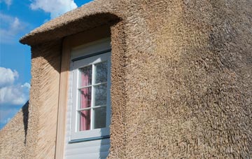 Northdale thatch roof disadvantages